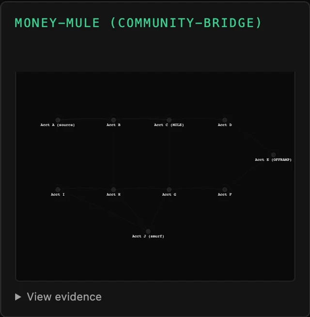 Tessera Viz — Money mule, an account bridging two communities